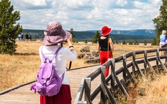 欧洲无线乱码2021芒果免费